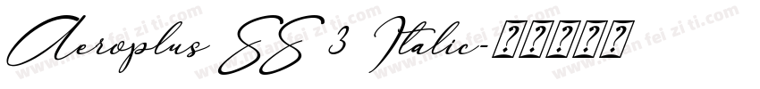 Aeroplus SS 3 Italic字体转换